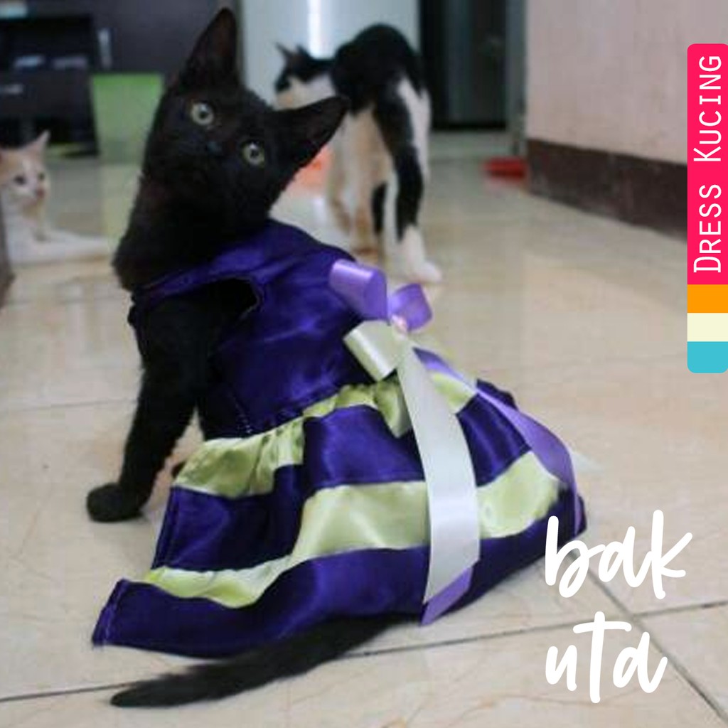 Dress ungu strip kuning lucu untuk kucing dan anjing murah meriah size S-XL