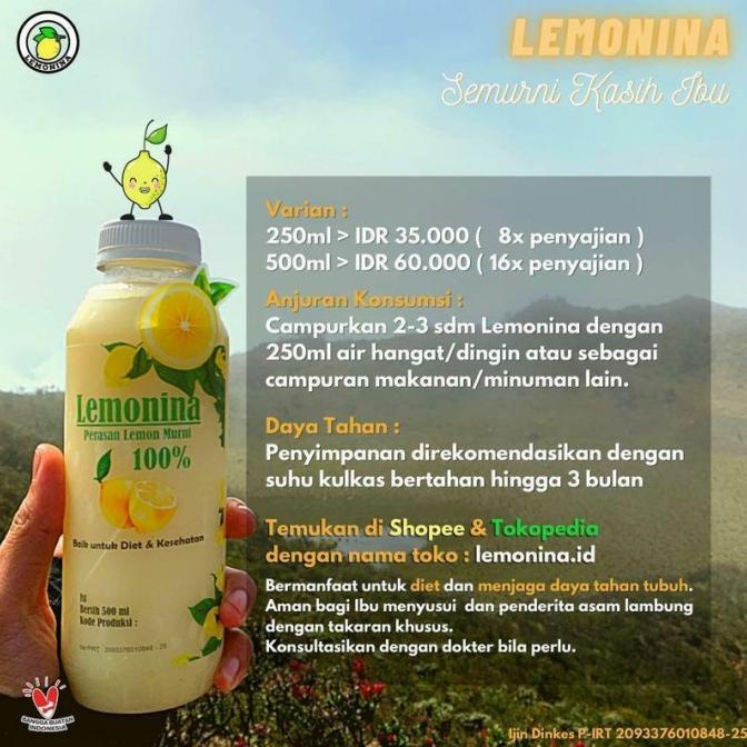 

LEMONINA 500ML