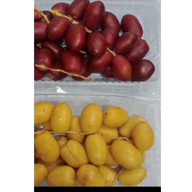 

Kurma muda kuning dan merah, ada dua jenis ( barhe enak, zahidi kurang enak )( tanyakan stok terlebih dahulu )