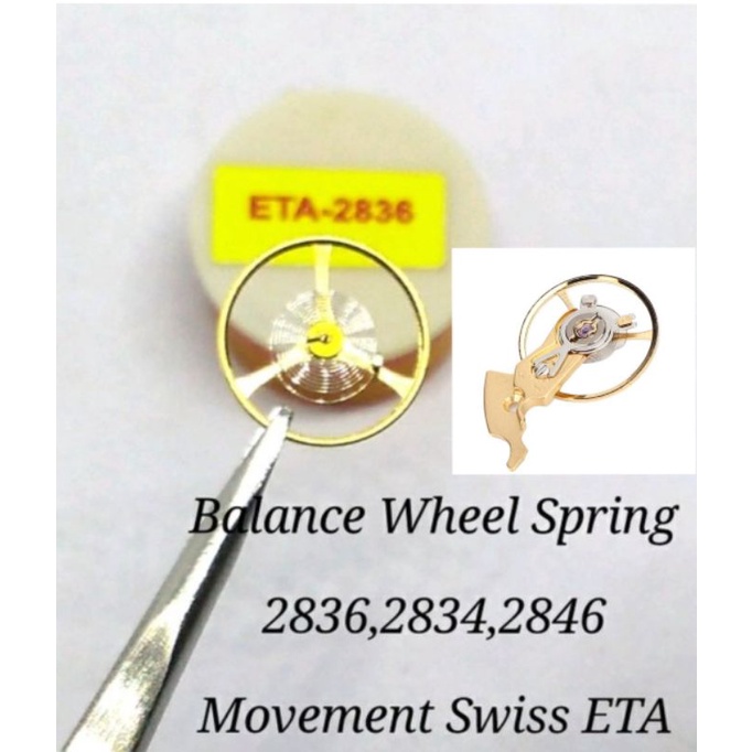 Balance Wheel Spring 2836 Per Rambut Jam Tangan mesin 2836 2834 2846 2824