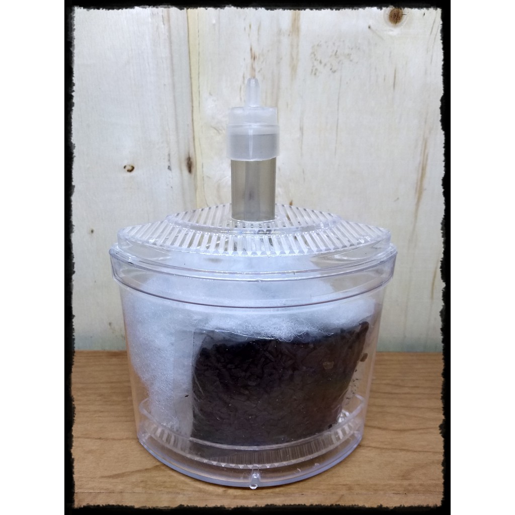 Multi Corner filter pojok medium aquarium aquascape murah