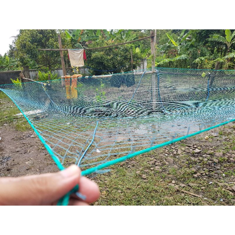 jaring anco nilon 2 inchi D6 anco mujaer, nila