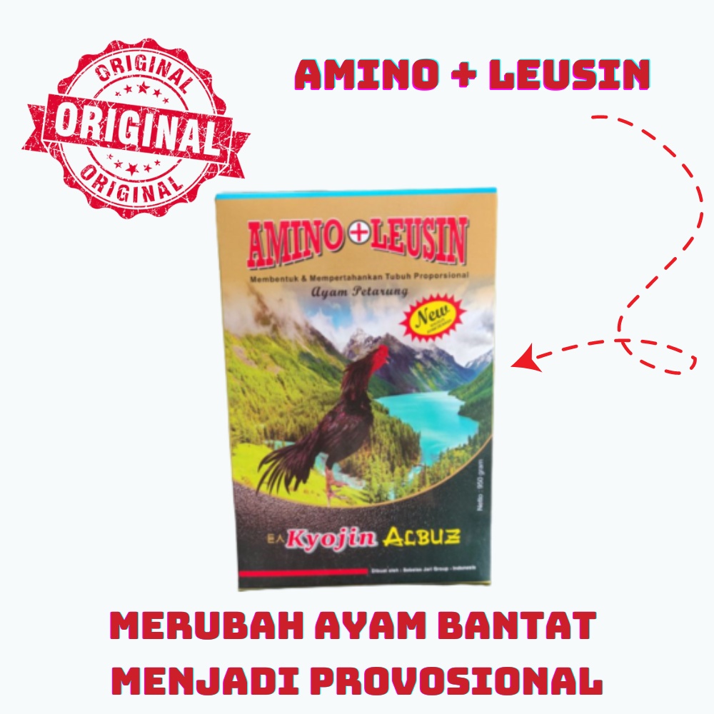 KYOJIN ALBUZ 950 gram ORIGINAL - khusus ayam dewasa 1 Minggu persiapan laga