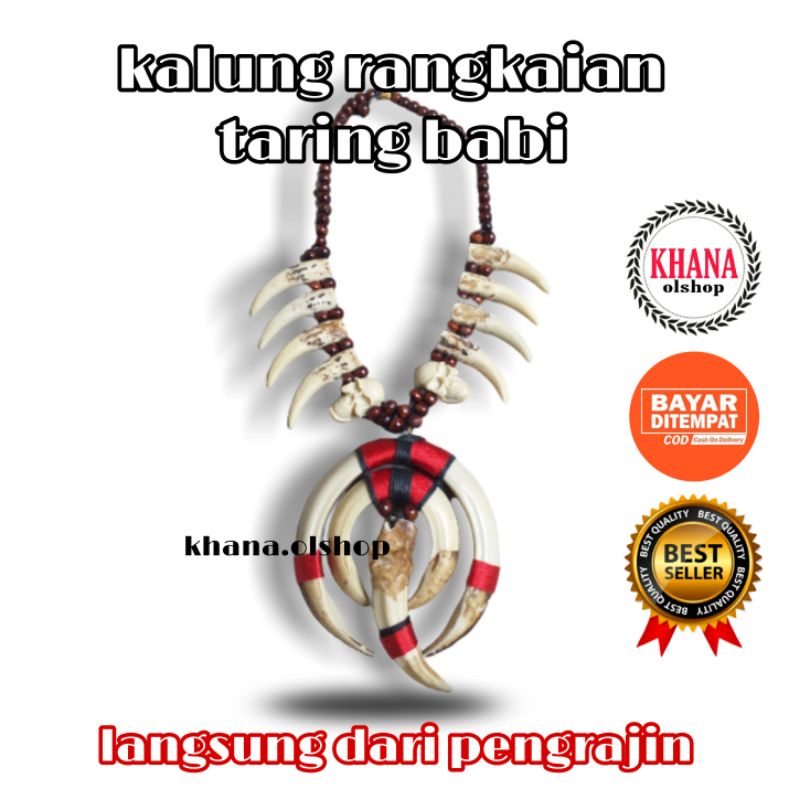 Kalung Taring Babi Etnik Dayak Kalimantan
