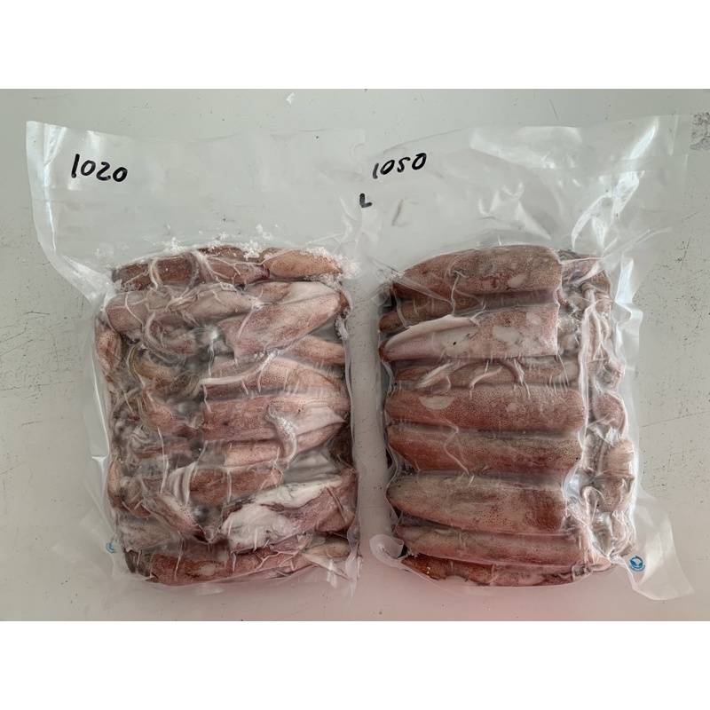 Cumi fresh frozen beku kapal / cumi cendol size M