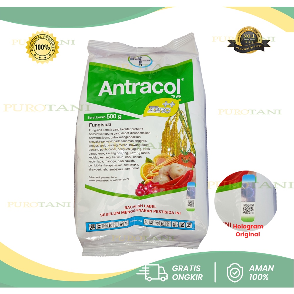 Fungisida Antracol 70 wp 500 gram