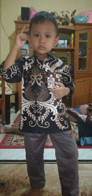 Kemeja Batik Anak - Batik Anak - Baju Batik Anak Laki Laki Umur 2-12 Tahun Hem Batik Anak Pendek