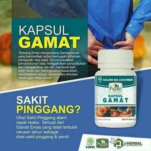 Kapsul Gamat Hpai Solusi Yang Tidak Tahan Jelly Gamat Indonesia