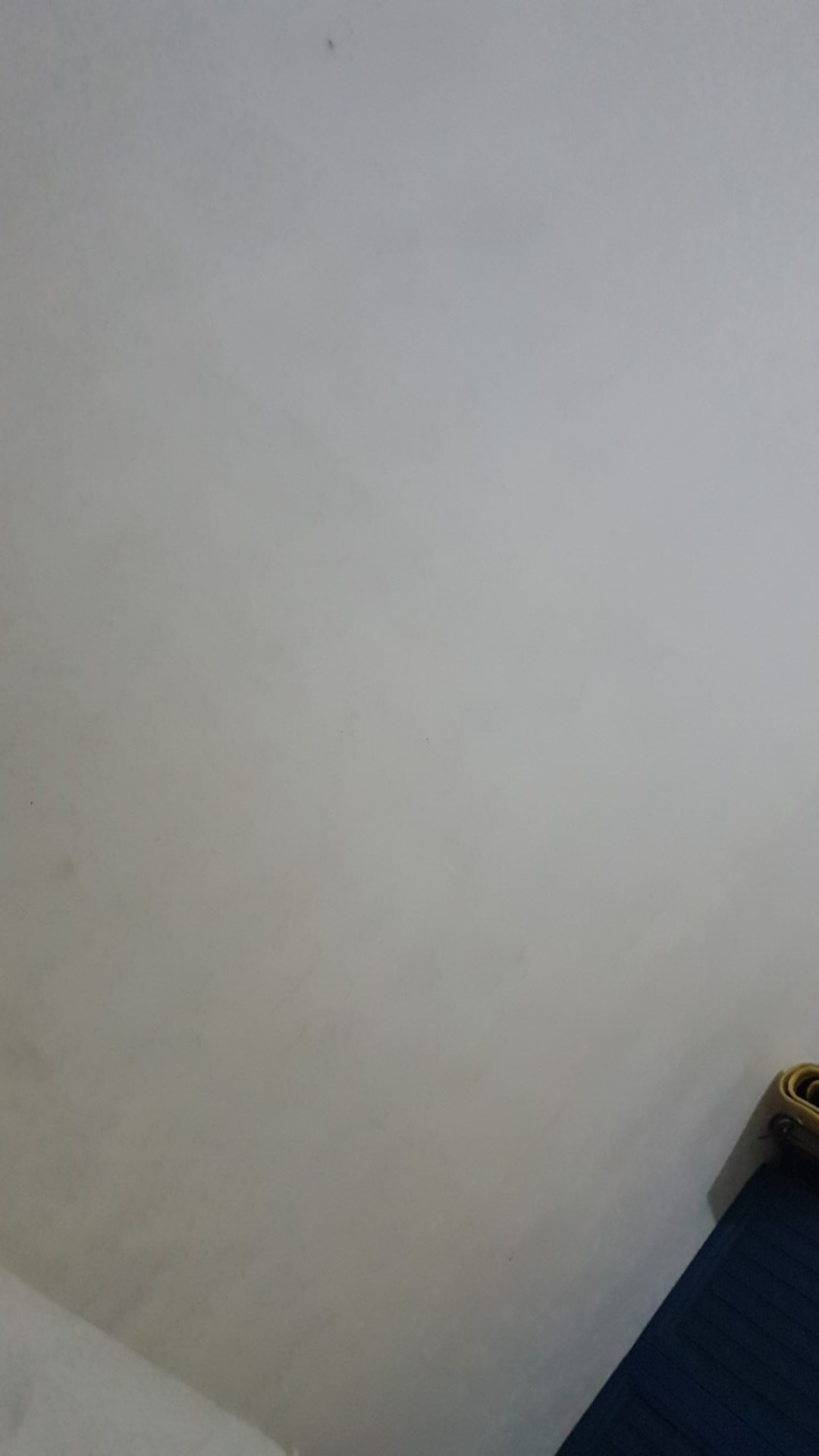 Teko Siul /teko Bunyi Whistling Kettle Maspion Ukuran 24cm&22cm