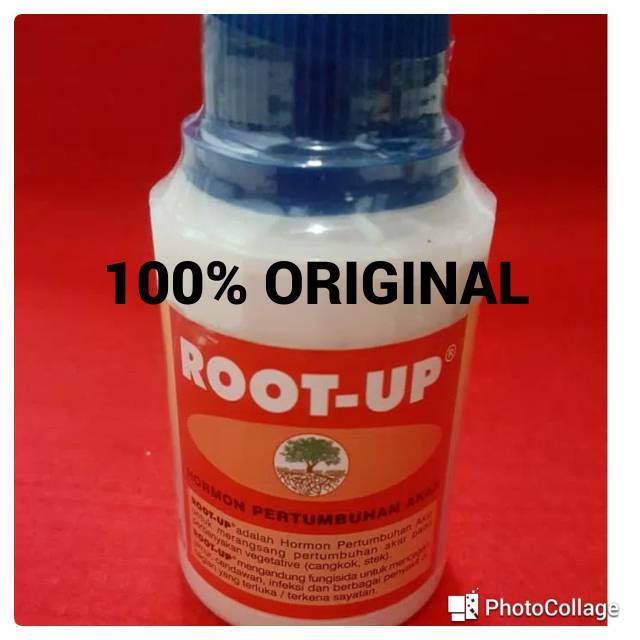 ZPT/obat cangkok dan stek/Root up