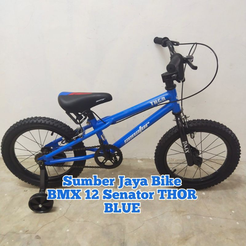 Sepeda BMX 16 Inch Senator THOR