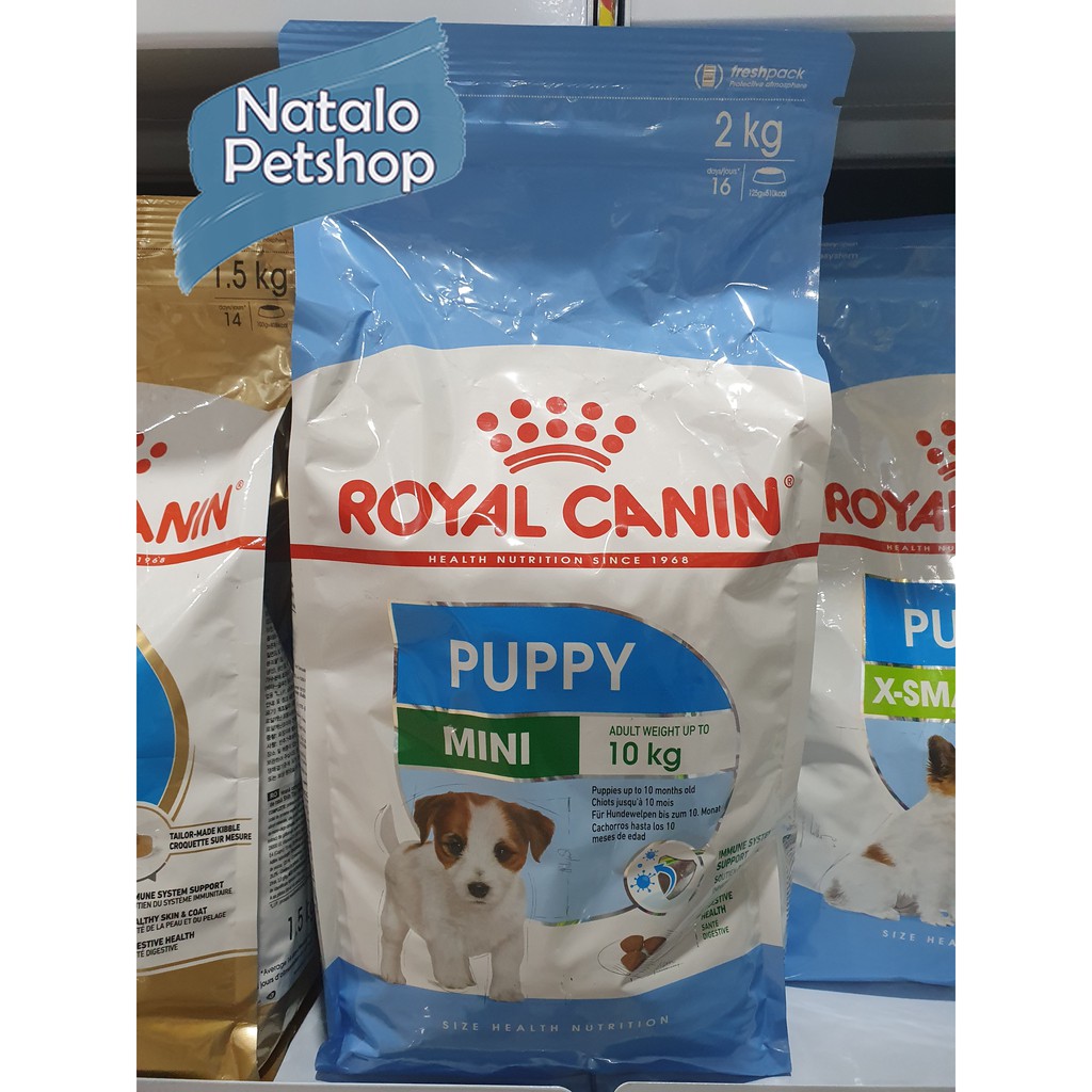 Royal Canin Mini Puppy Dog Food 2KG/Junior/Makanan Anak Anjing Kecil/Murah