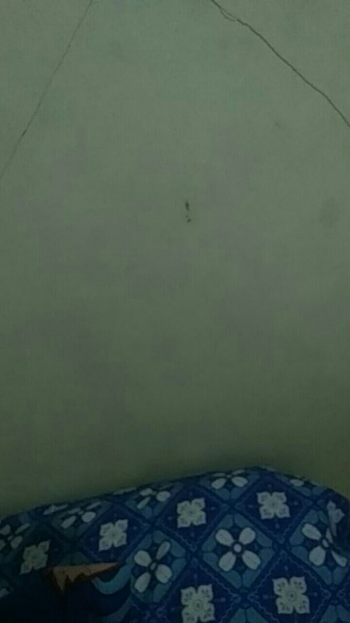 (termurah - Ori & Real Pic! Busui_3 Warna) Batik Couple Andhini Kebaya Couple Brukat Anabel - Bs073