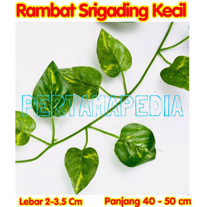 READY DAUN RAMBAT GANTUNG/DAUN RAMBAT SINTETIS/DAUN RAMBAT DEKORASI/ AQUARIA