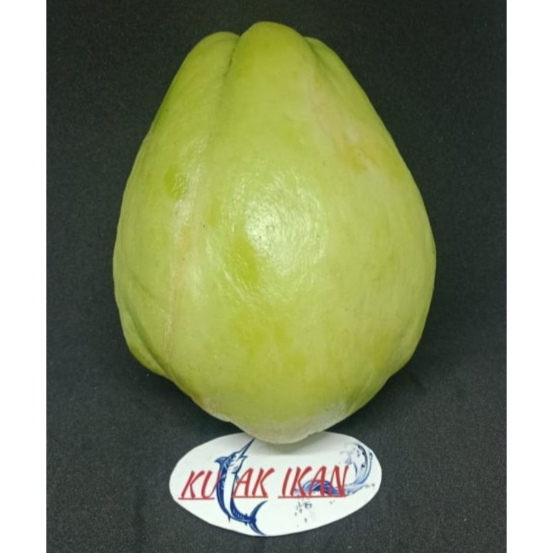 

LABU SIAM - 1 BUAH (400 Gr)