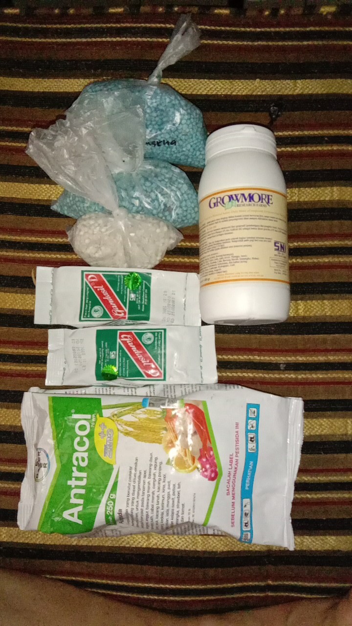 Fungisida/pembasmi Hama. Antracol 70 Wp. Isi 250 G.