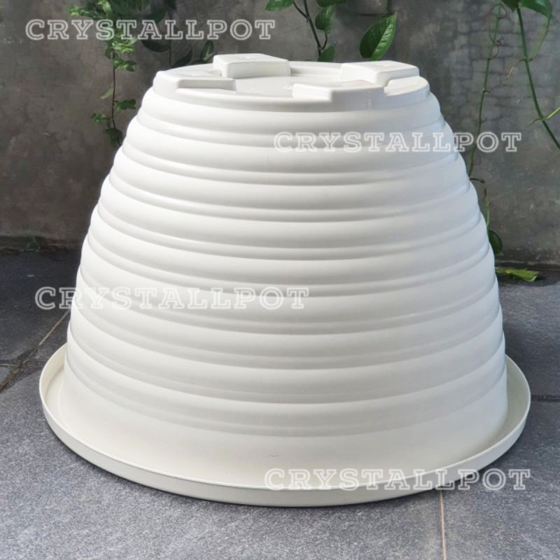 Pot bunga tanaman tawon putih kuping 48cm - BEE 482