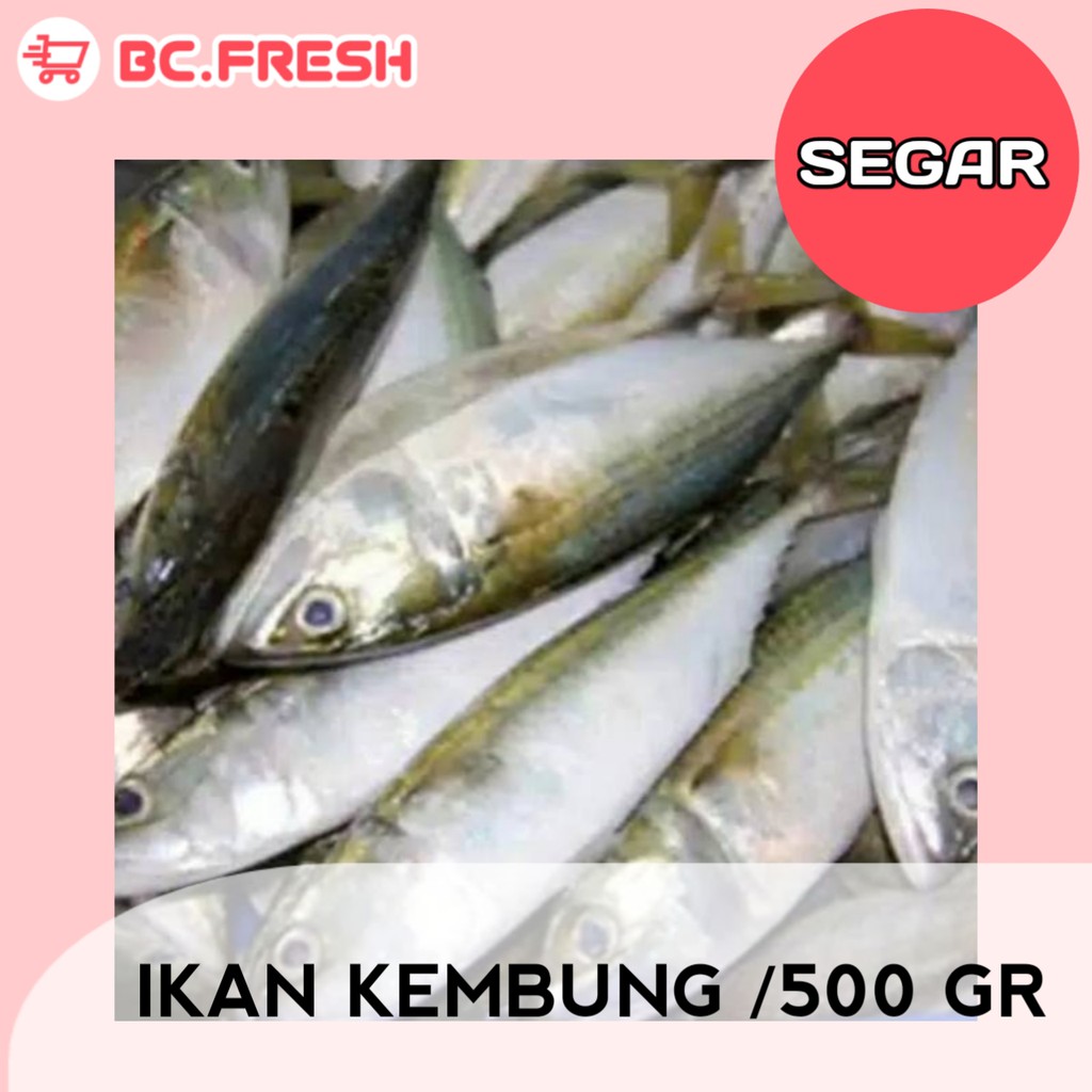 

Ikan kembung segar 500 gram
