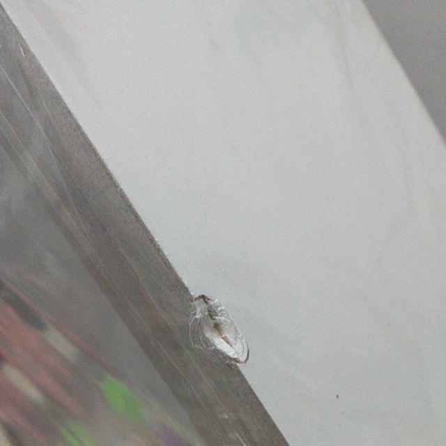 [bayar Di Tempat]promo Rak Persegi Panjang Original/rak Serbaguna/rak Dinding Minimalis