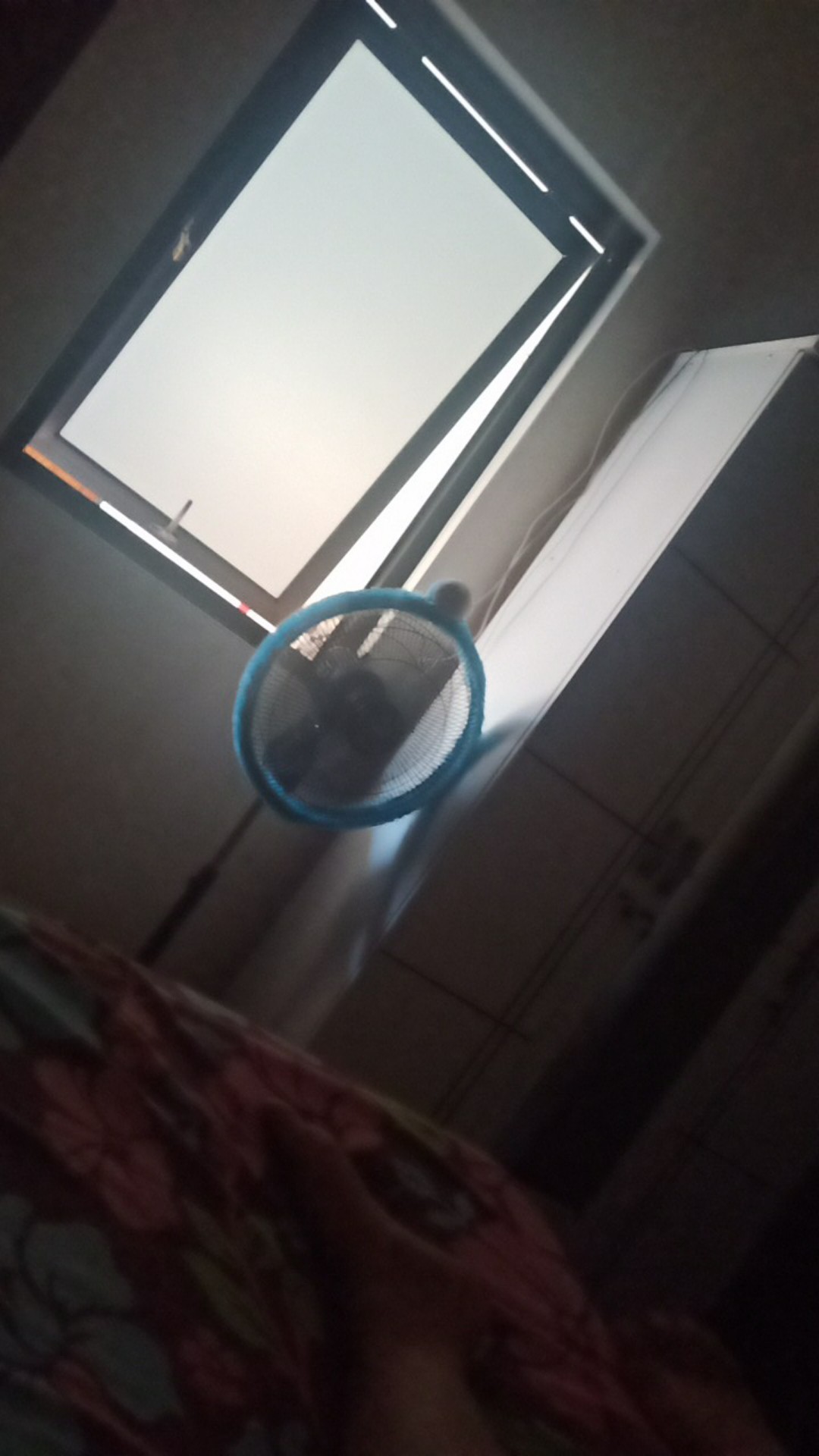 Sendok Kerang Prasmanan