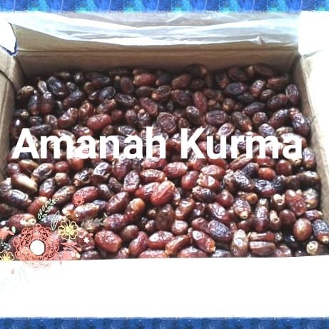 

kurma sayer 1 dus 10kg harga grosir