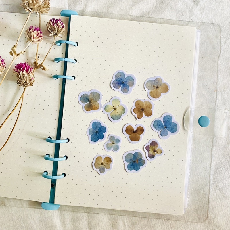 

Pressed flower stickers / hydrangea petals/ sticker bunga press / DIY