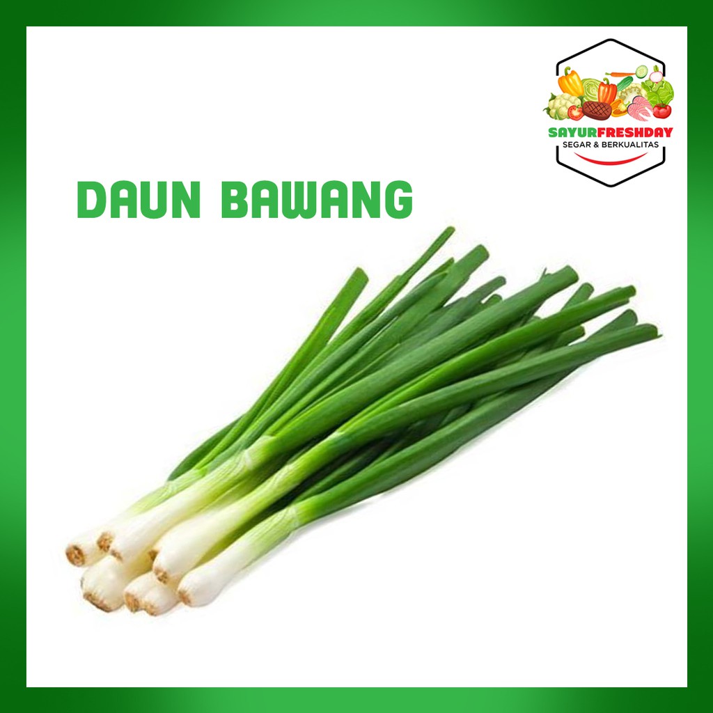 

Daun Bawang 1ikat/50gram