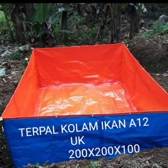Kolam / Terpal Kolam Ikan A12 Uk 200X200X100