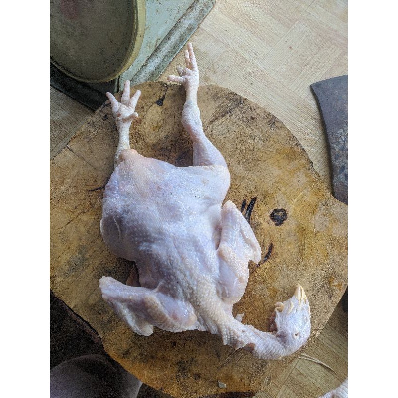

AYAM POTONG UTUH HARI-HARI 1kilo-1,1/1000-1100GRAM