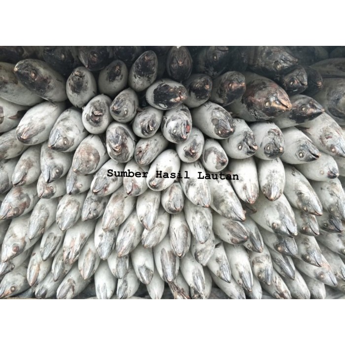 

Ikan Baby Tuna Frozen 1Down