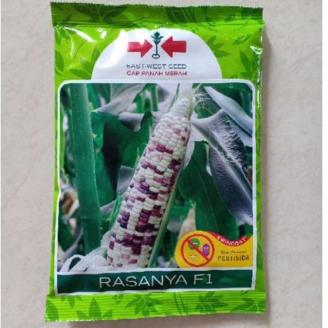 Benih Jagung Ketan Putih Ungu RASANYA F1Cap Panah Merah isi 250 gr Bibit Pulut Hibrida