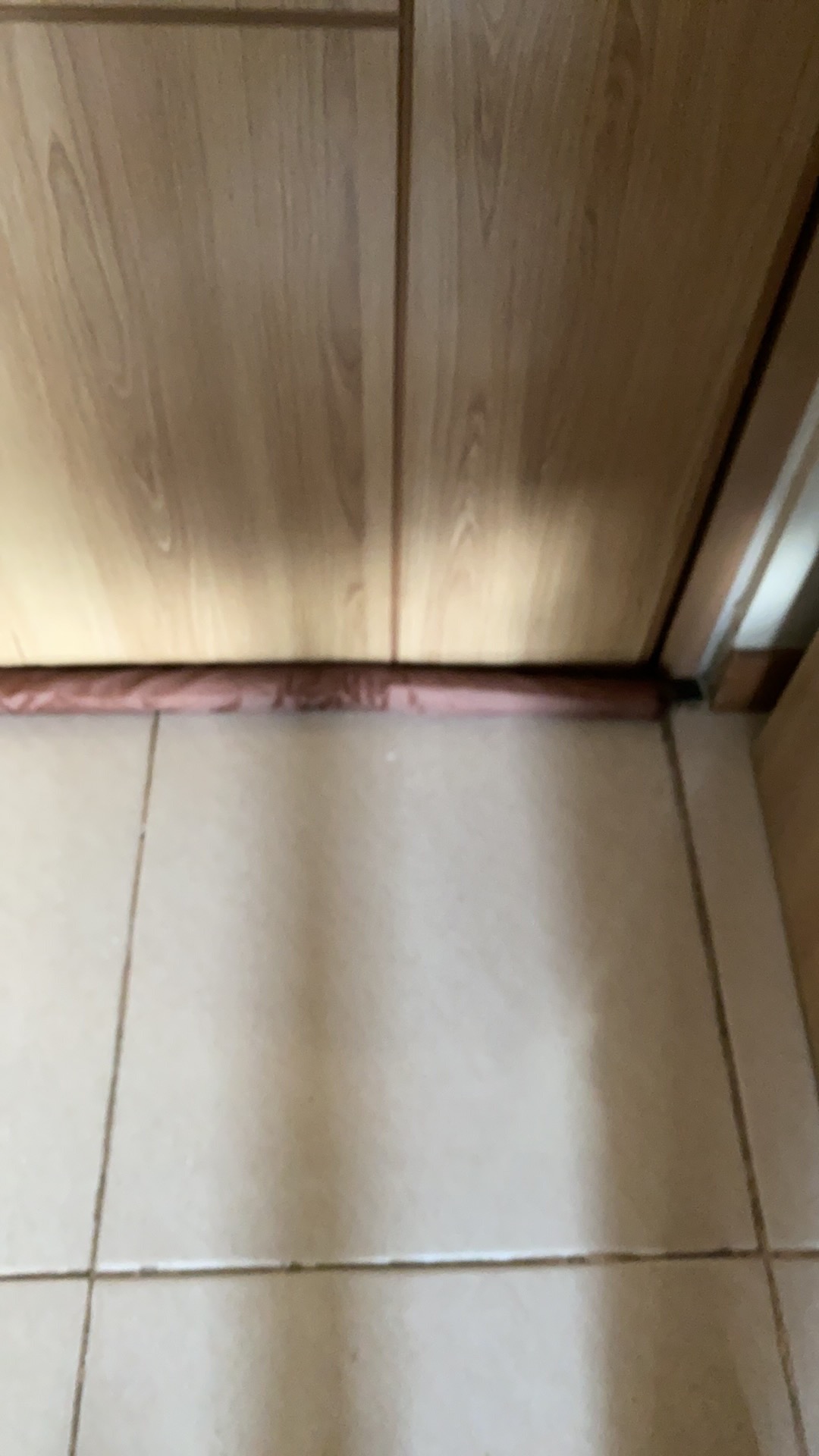 Twin Draft Guard Dust Heat Stopper / Penahan Udara - Penahan Udara Pintu