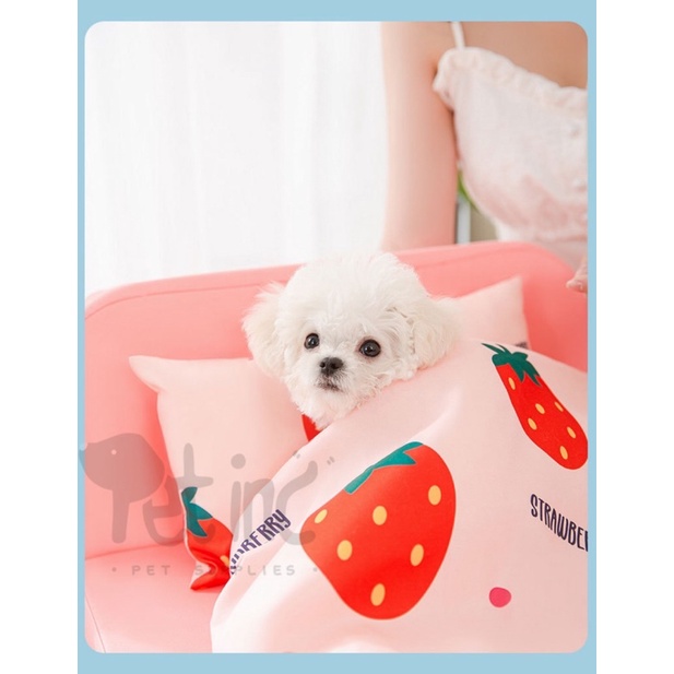 Chimdae pet sponge bed set with pillow and blanket