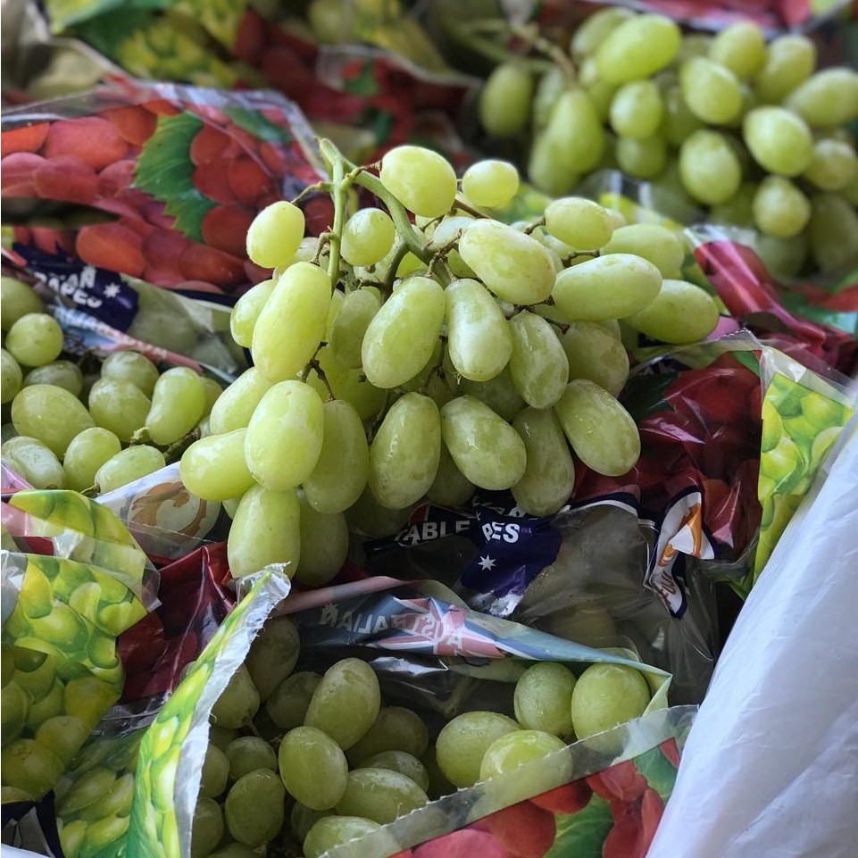 Manganobuah Anggur  Hijau  Seedless  Shopee Indonesia