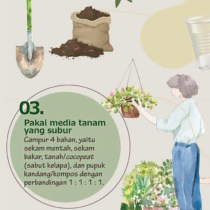 Benih Sayur Bibit Tanaman Sayuran Bawang Cabe Kacang Oyong Pare Timun Terong Tomat Wortel-4