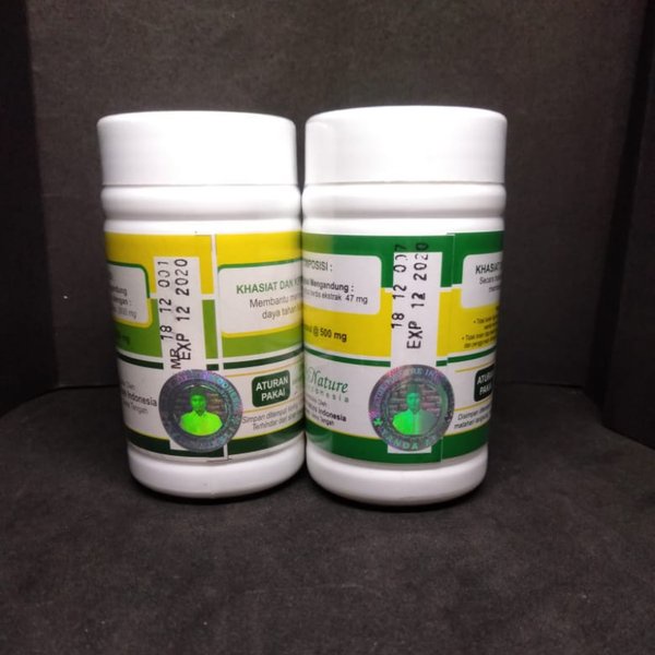 

Herbal Pilihan Obat Atasi Gejala Stroke Struk Hipertensi Lumpuh Kram Saraf Syaraf Kejepit Centiloss