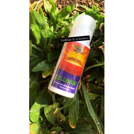 Free bumbu bubuk / miswak | CELLFOOD® ASLI by supernet