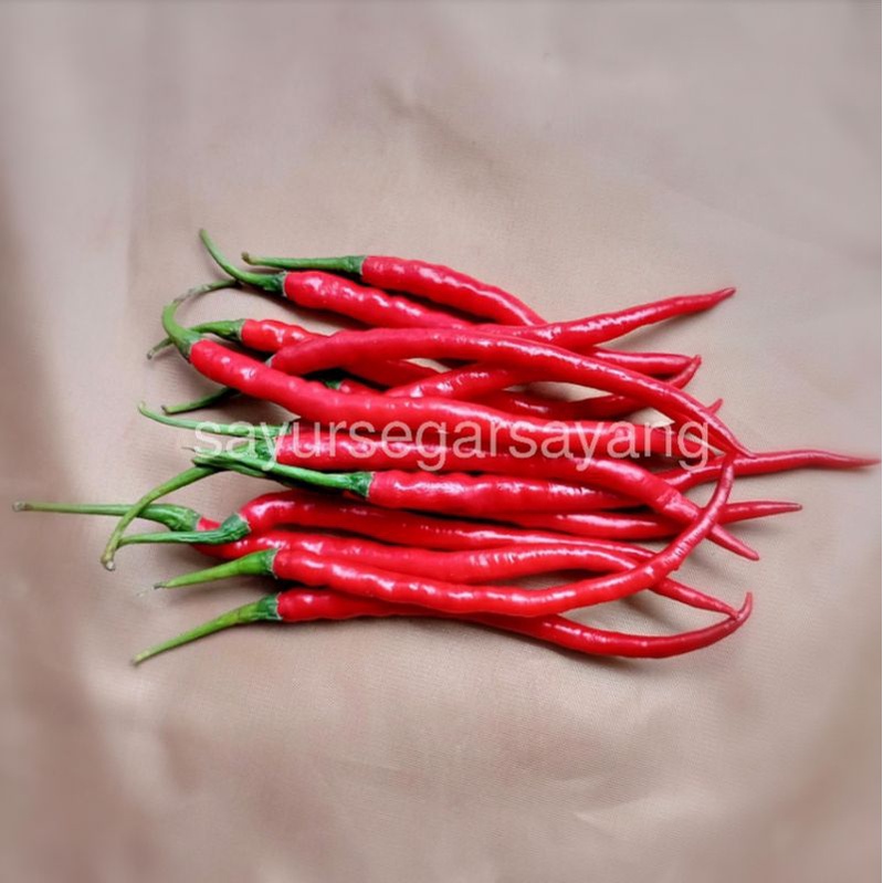 

Cabe Cabai Merah Keriting 500gr