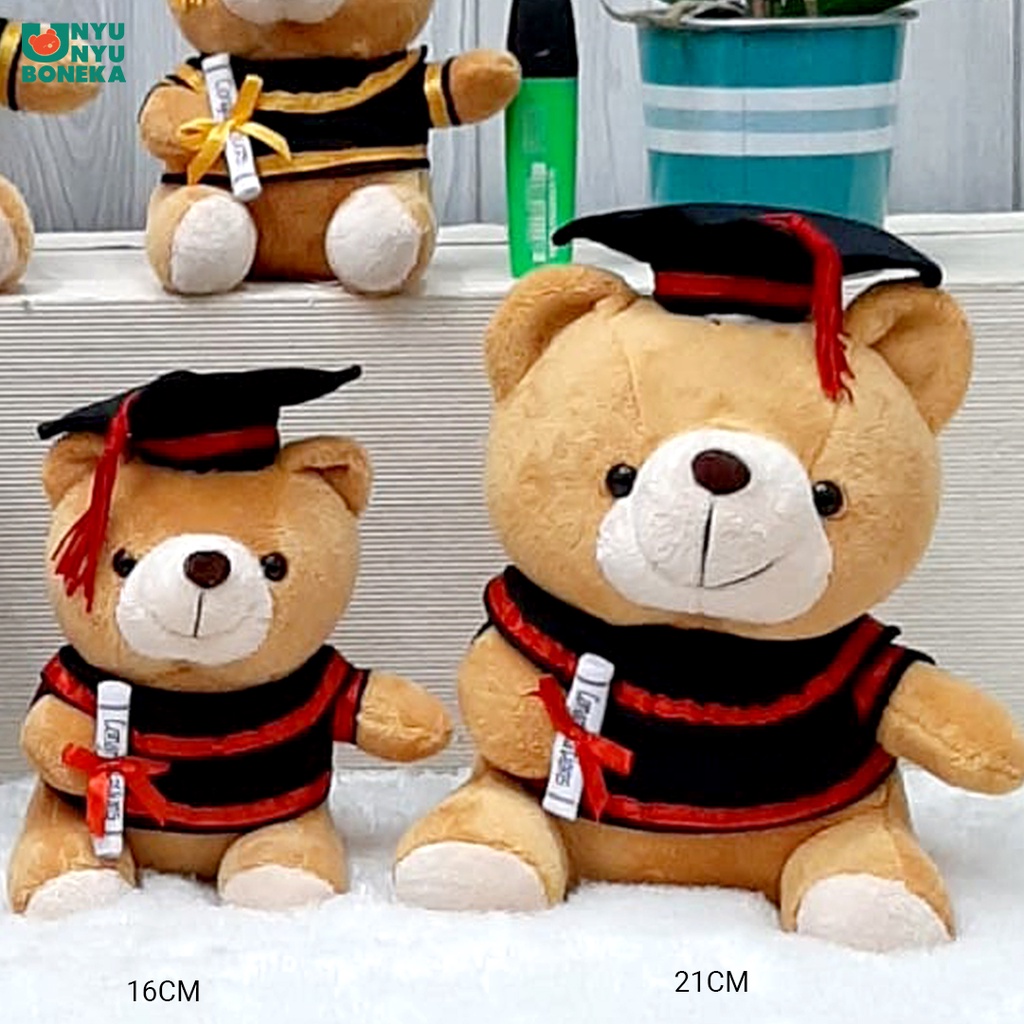 Boneka toga wisuda teddy bear beruang graduation souvenir Cute