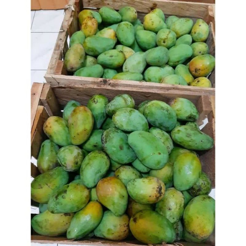 

Mangga Harum Manis 1Kg