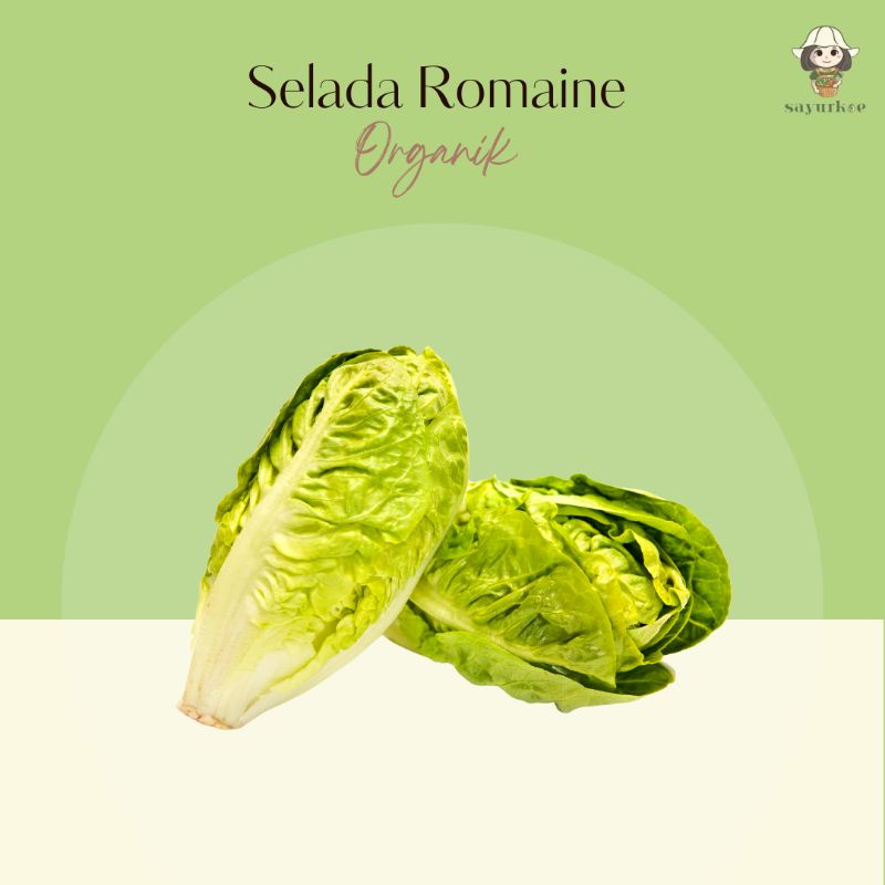 

Selada Romaine Organik 250gr