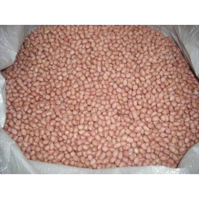 Grosir Kacang Tanah Murah