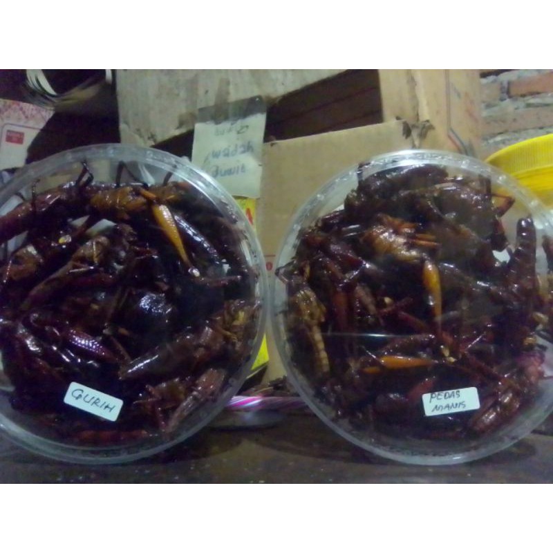 

walanggorengAsligunugkidul