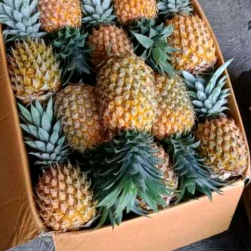 

NANAS LOKAL JAWA TENGAH 100%