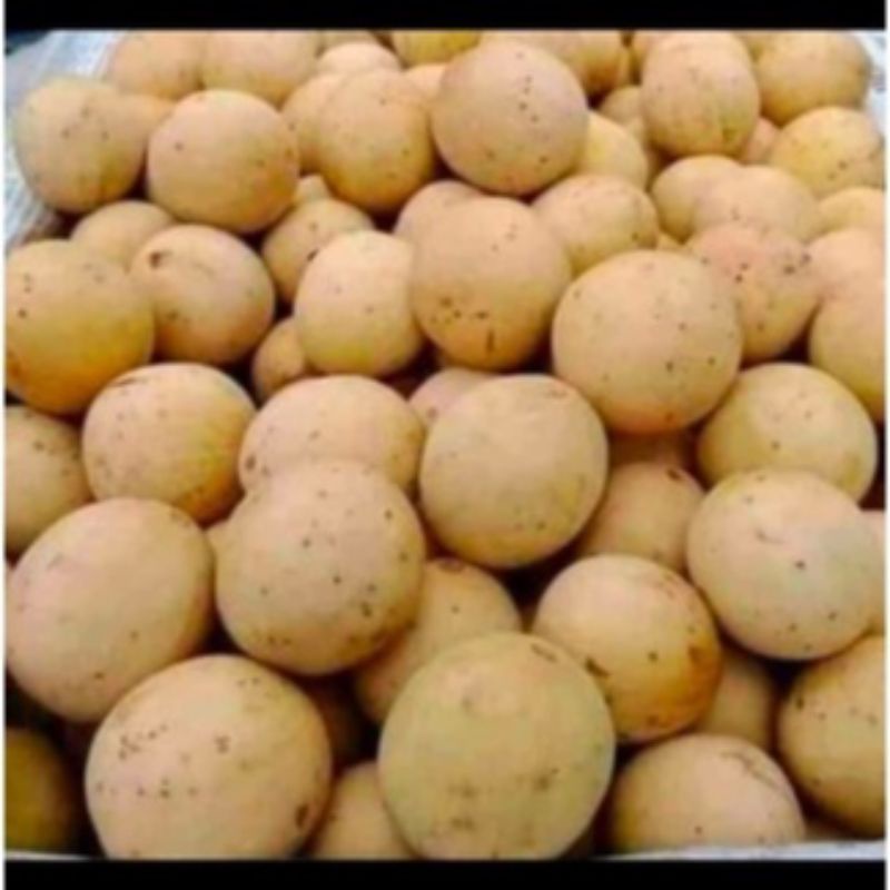 duku palembang manis mantep per 1kg fress