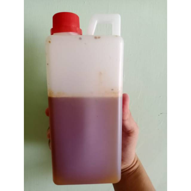 

Madu lebah hutan liar kemasan 600 ml asli murni original murah sehat lebah hutan pati