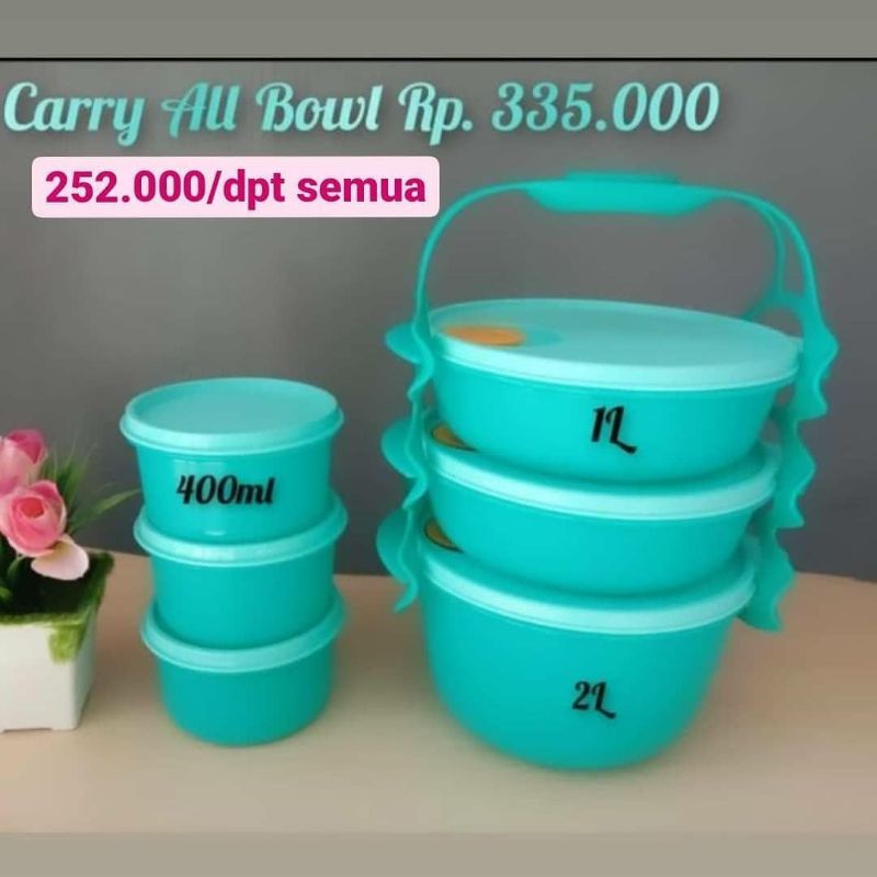 CARRY ALL BOWL TUPPERWARE