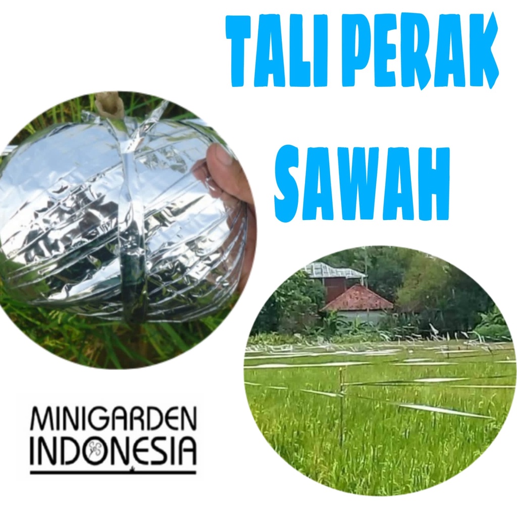 TALI PERAK SAWAH tali persawahan pengusir burung tali perak pertanian