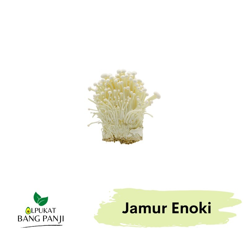 

Jamur Enoki Korea 1 Pack