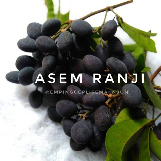 

Asem kranji / 500 gram /asem keranji / Ranji / Kuranji